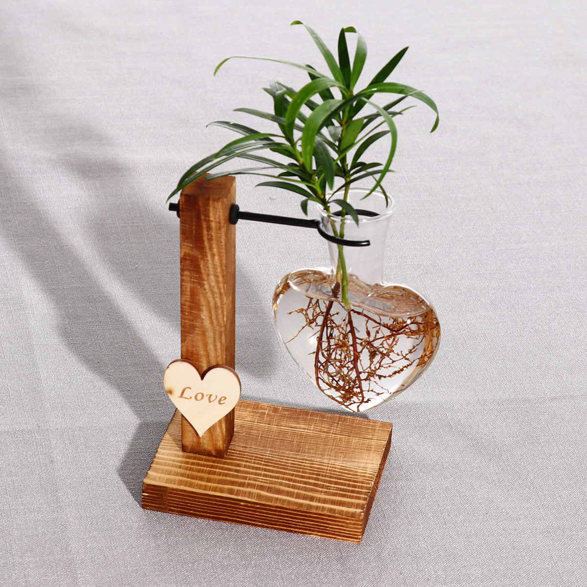 Heart-Shaped Clear Glass Hydroponic Vase