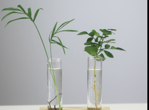 Creative Wooden Bottle Plant Vase