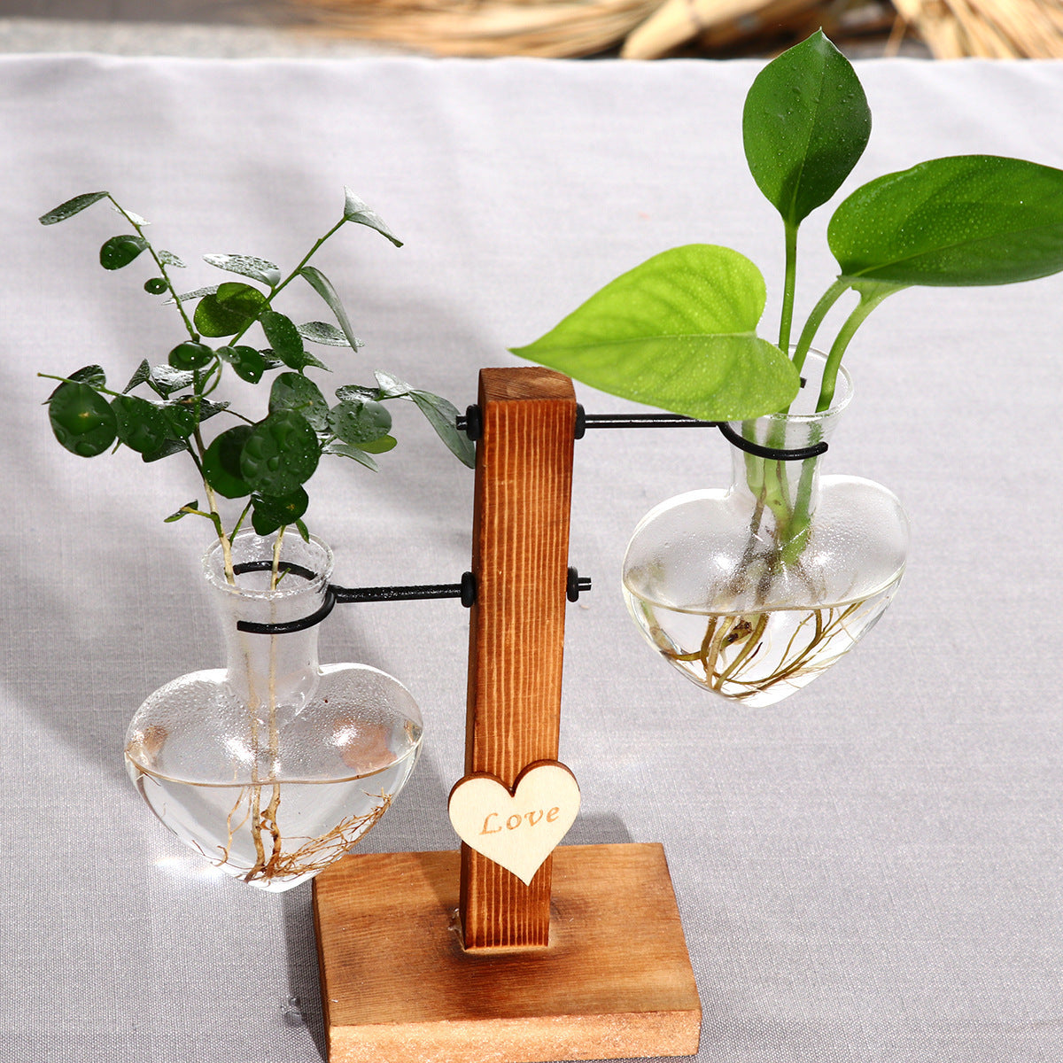 Heart-Shaped Clear Glass Hydroponic Vase